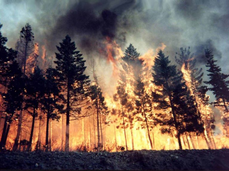 Incendi boschivi: la Regione proroga il periodo di rischio