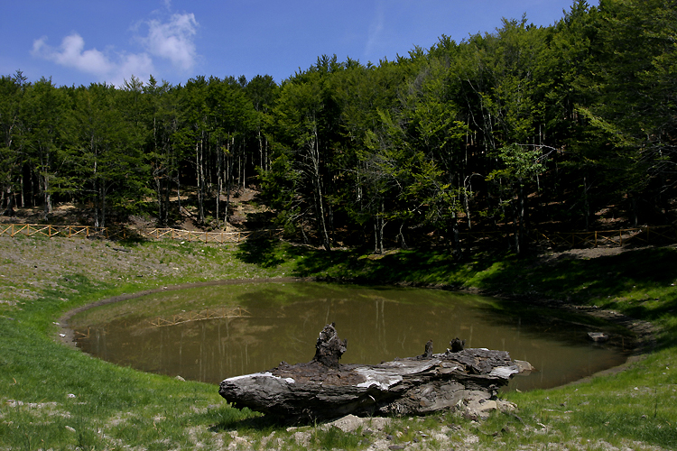 Dal Lago degli Idoli al consiglio comunale. In mostra alcune statuette etrusche