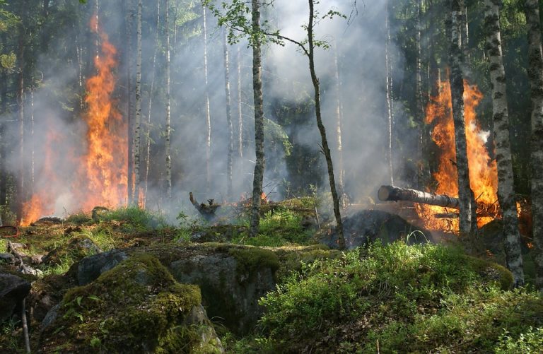 Rischio incendi, l’Unione diffonde un comunicato della Regione: «Divieto di abbruciamento dei residui vegetali»