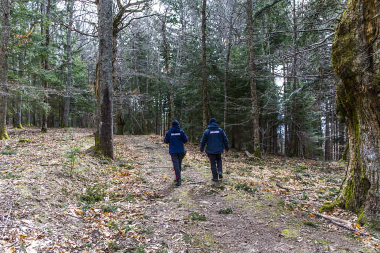 Si perde nei boschi di Camaldoli: recuperato un escursionista