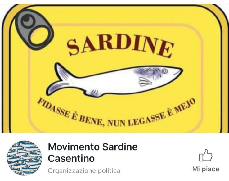 “Le Sardine” arrivano anche in Casentino
