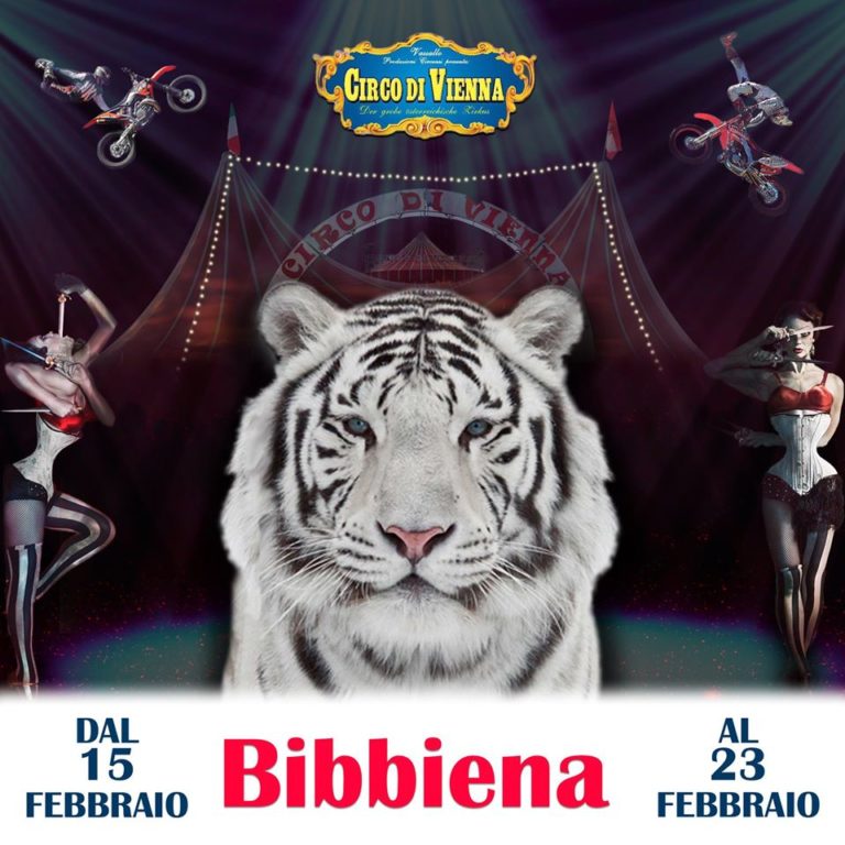 Polemiche social sul Circo di Vienna ospite in questi giorni a Bibbiena