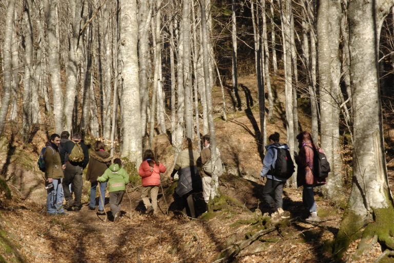 XXVII raduno scialpinistico della Campigna nel Parco Naz. Foreste Casentinesi