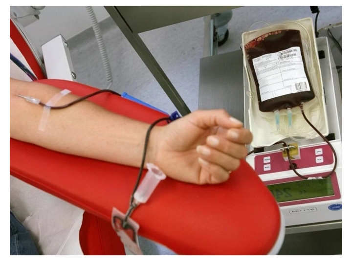 Asl, continuate a donare il sangue: è sicuro