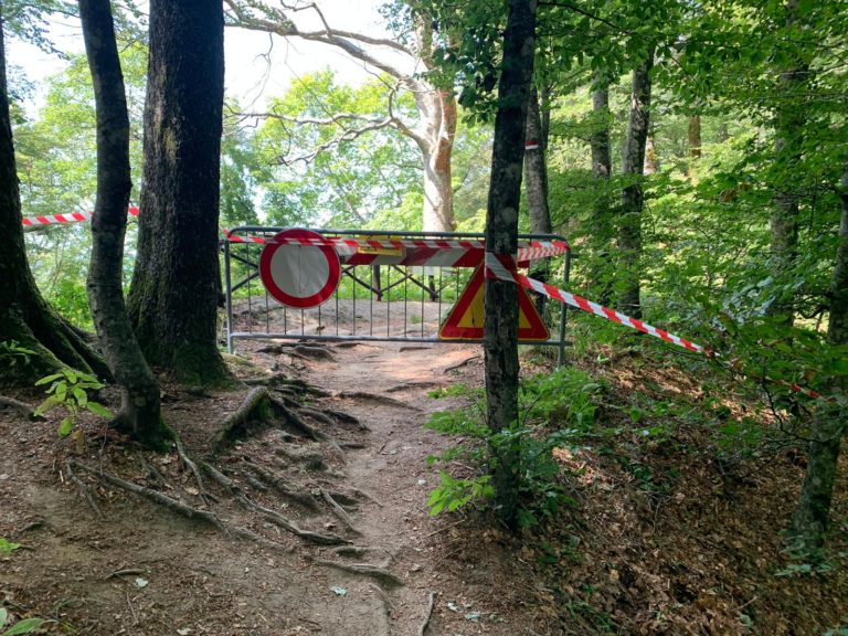 Messa in sicurezza della Foresta Sacra della Verna per tutelare i turisti e il Santuario