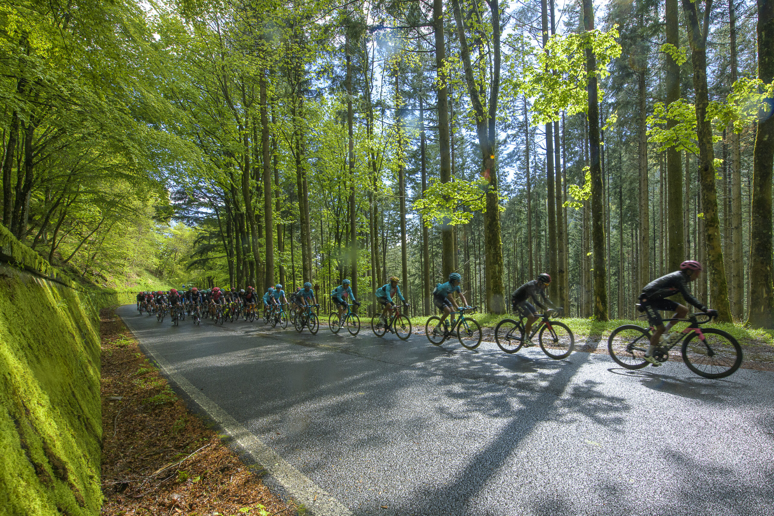 Il Giro d’Italia e le foreste casentinesi negli scatti di Carlo Gabrielli