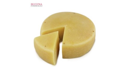 Il pecorino abbucciato della Fattoria di Bucena (Poppi) vince la medaglia di ARGENTO al World Cheese Awards 2021-22