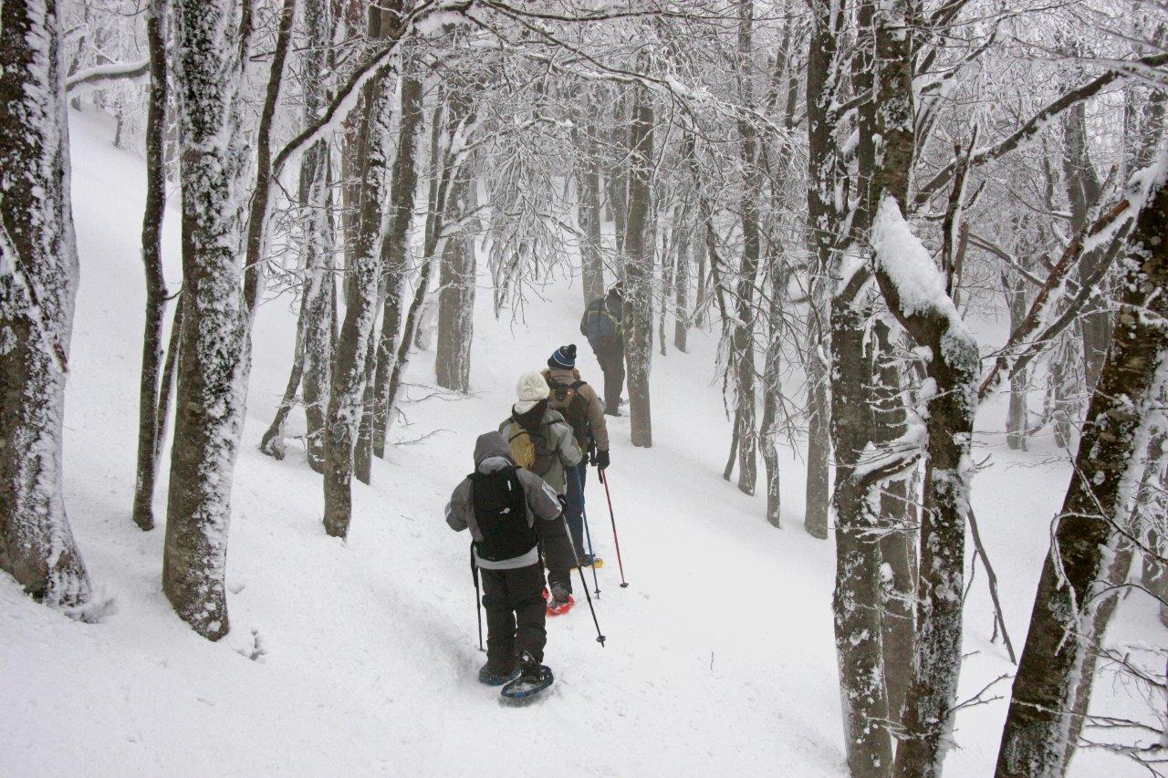 Neve fresca nel week end sul crinale del Parco Naz. Foreste Casentinesi: gli eventi di domenica