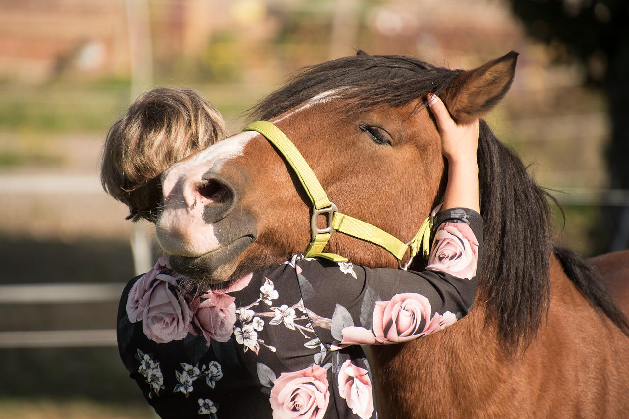 Un pensiero ogni tanto: “L’abbraccio di un cavallo”