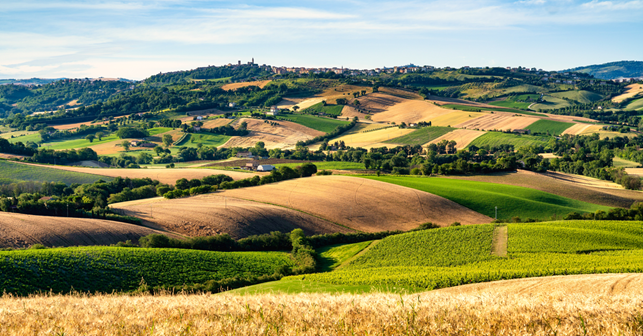 Selezione Gal Toscana per fondi europei: coinvolti anche molti comuni casentinesi