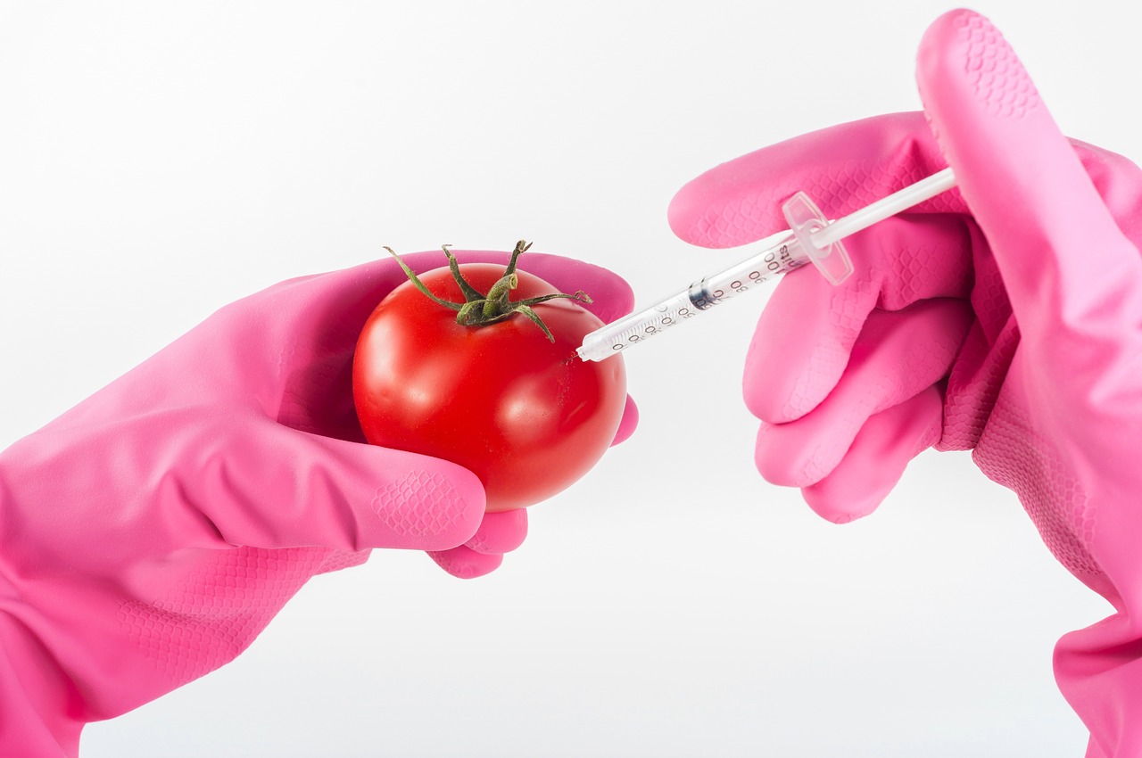 Nasce il comitato “Casentino libero dai nuovi OGM”