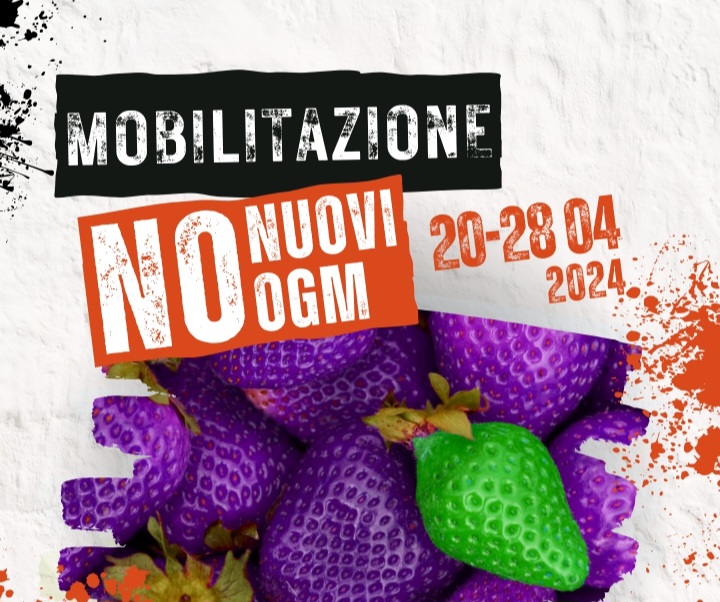 Fermento in Casentino: l’allarme del Comitato Casentino libero dai nuovi OGM